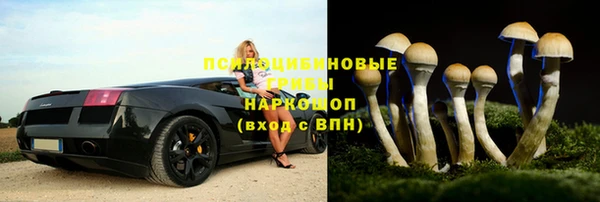 прущие грибы Алексеевка