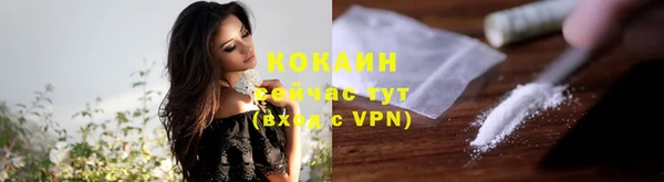 индика Переславль-Залесский