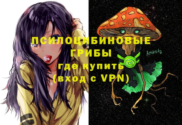 прущие грибы Алексеевка