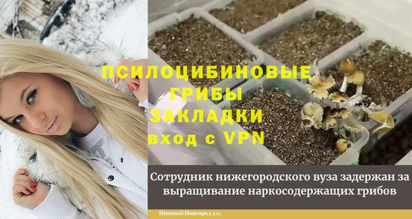 прущие грибы Алексеевка