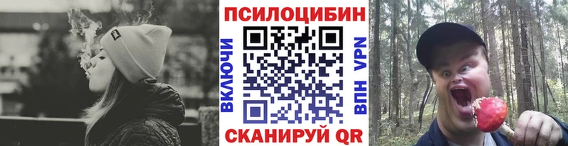 закладка  Красноуральск  Псилоцибиновые грибы мухоморы 